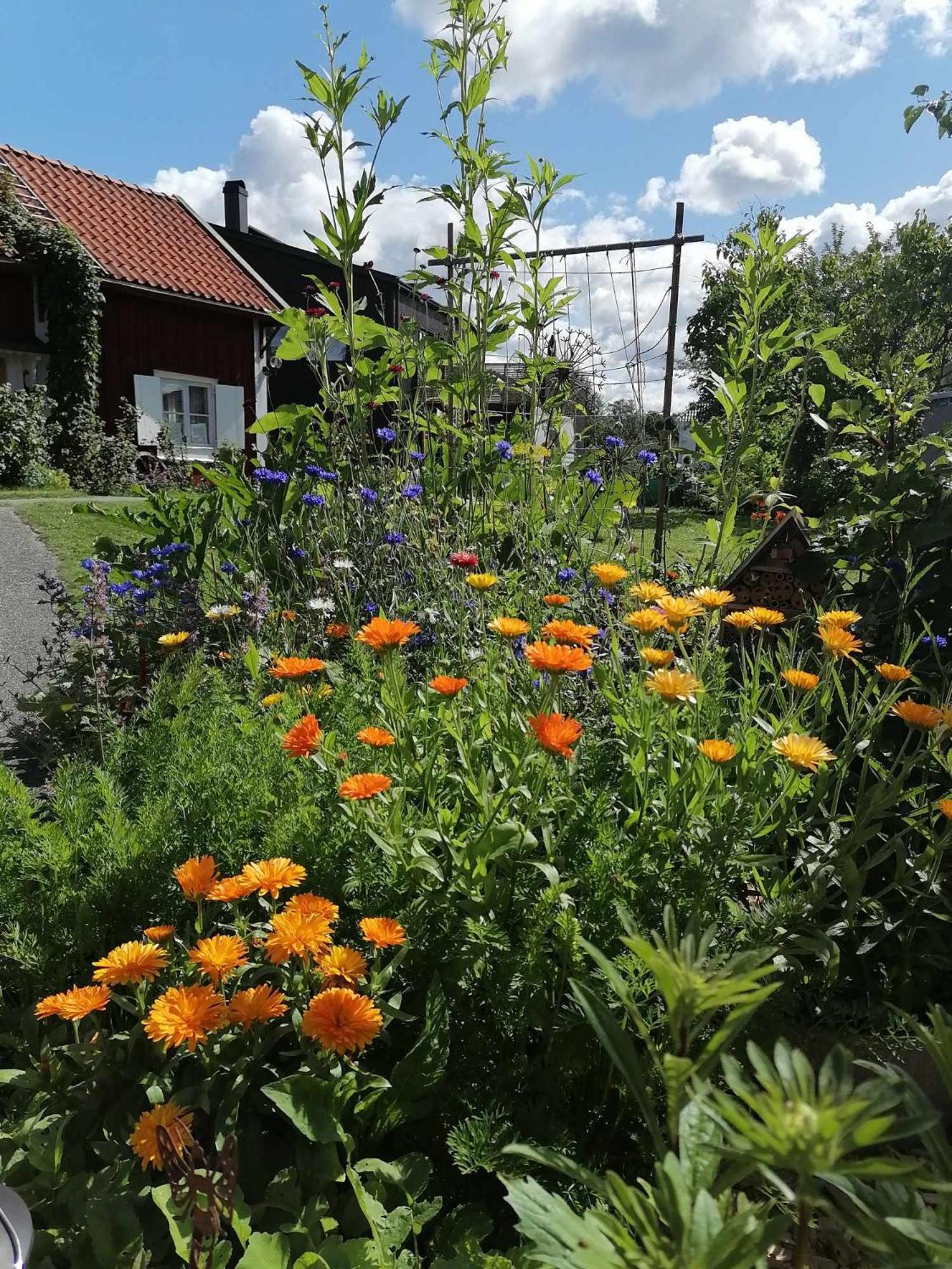 Rustik Stuga Med Lantlig Kaensla Naera Oerebro City Exteriér fotografie