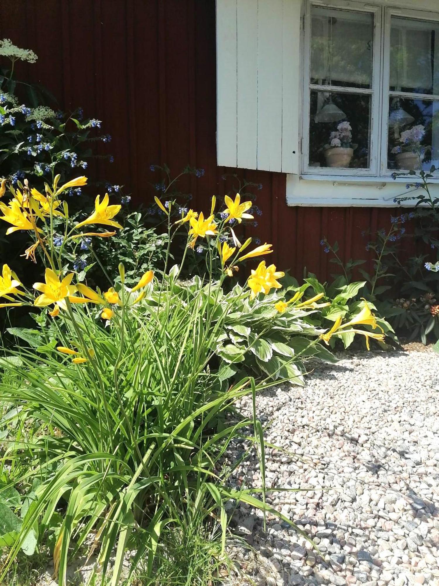 Rustik Stuga Med Lantlig Kaensla Naera Oerebro City Exteriér fotografie